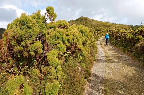 Randonnée Lagoa do Fogo