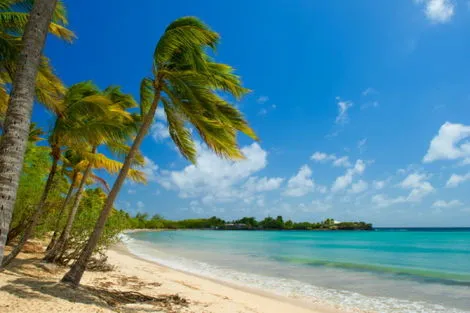 Circuit Simply Beautiful fort_de_france Iles Grenadines