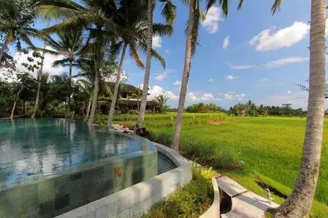 Hôtel Mathis Retreat ubud INDONESIE