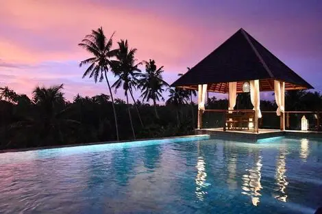 Hôtel Tejaprana Bisma ubud INDONESIE