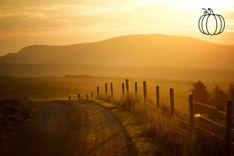 Circuit En Irlande aux origines d'Halloween dublin Irlande