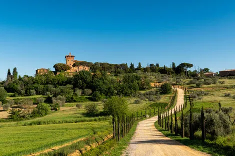 Volterra