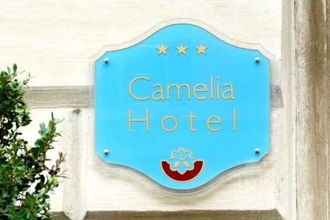 Hôtel Camelia rome ITALIE