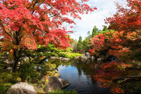 Jardin Koko-en Himeji