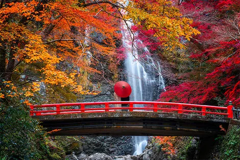 Kyoto