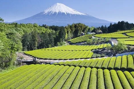 Mont Fuji