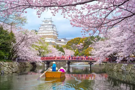 Circuit De la modernité d'Osaka aux traditions de Tokyo osaka Japon