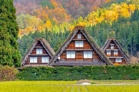 Traditions et culture du Japon
