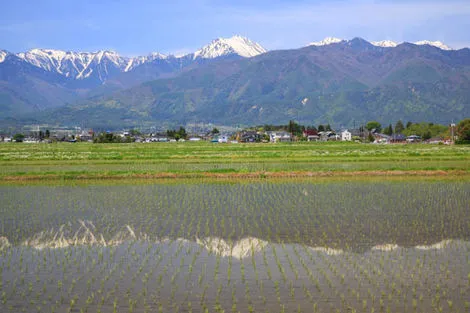 Traditions et culture du Japon