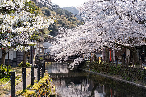 Kinosaki