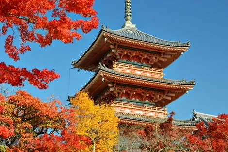 Combiné hôtels Trilogie Japonaise : Tokyo, Kyoto et Osaka tokyo Japon