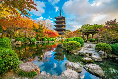 Circuit Tokyo, Mont Fuji & Kyoto tokyo Japon