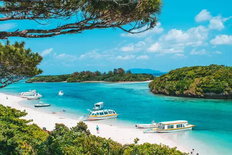Circuit Le Japon, au fil des temples et des saveurs et extension à Okinawa tokyo Japon