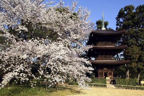 Hôtel Chinzanso Tokyo tokyo JAPON