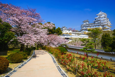 Sensations au Japon authentique