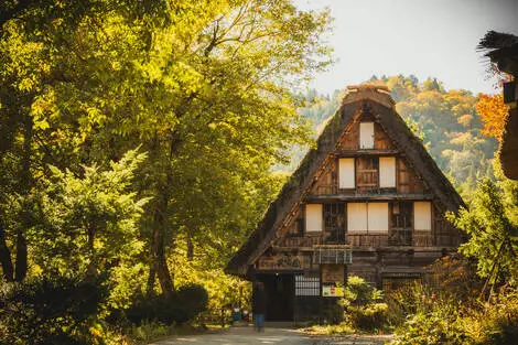 Circuit Sur les chemins secrets des Alpes Japonaises