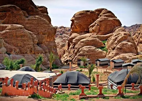 Camp - Pétra