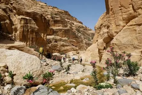 Circuit Au fil des Wadis et des sables éternels de Jordanie (maximum 12 participants)
