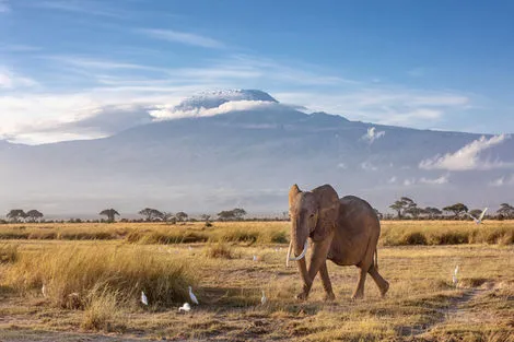 Amboseli