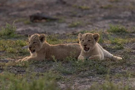 Kenya : Hôtel Sun Palm Beach 4* sup & Safari 2 Nuits