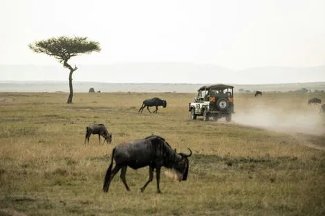 Circuit Safari Magie d'Afrique nairobi Kenya