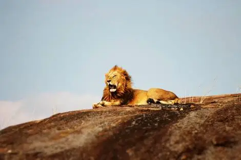 Circuit Lumières d'Afrique Safari au coeur du Kenya