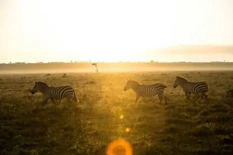 Circuit L'âme sauvage : voyage entre Kenya etTanzanie