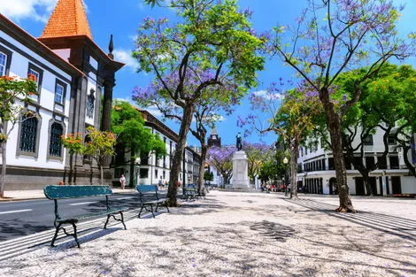 Circuit Echappée entre Terre et Mer à Madère depuis le The Views Oasis funchal Madère