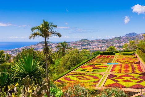 Circuit Echappée entre terre et mer depuis l'hôtel Hyatt Ziva Madeira funchal Madère