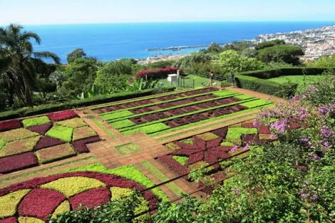 Circuit Balade à Madère 2025 funchal Madère