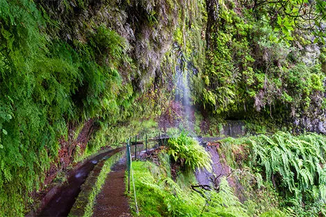 Levada do Rei