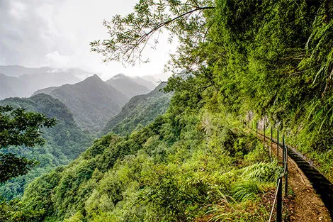 Levada do Rei