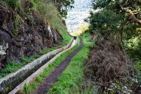 Levada dos Maroços