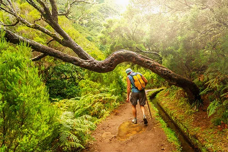 Levada