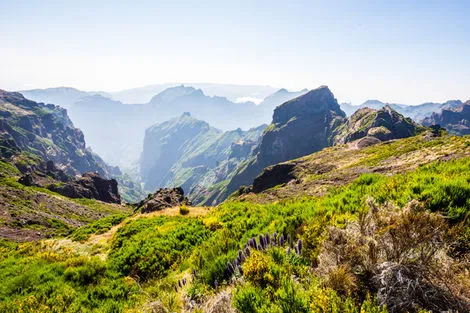 Pico do Arieiro