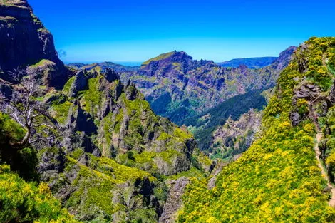 Pico do Arieiro