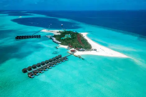 Hôtel Dhigufaru Island Resort atoll_de_baa Maldives