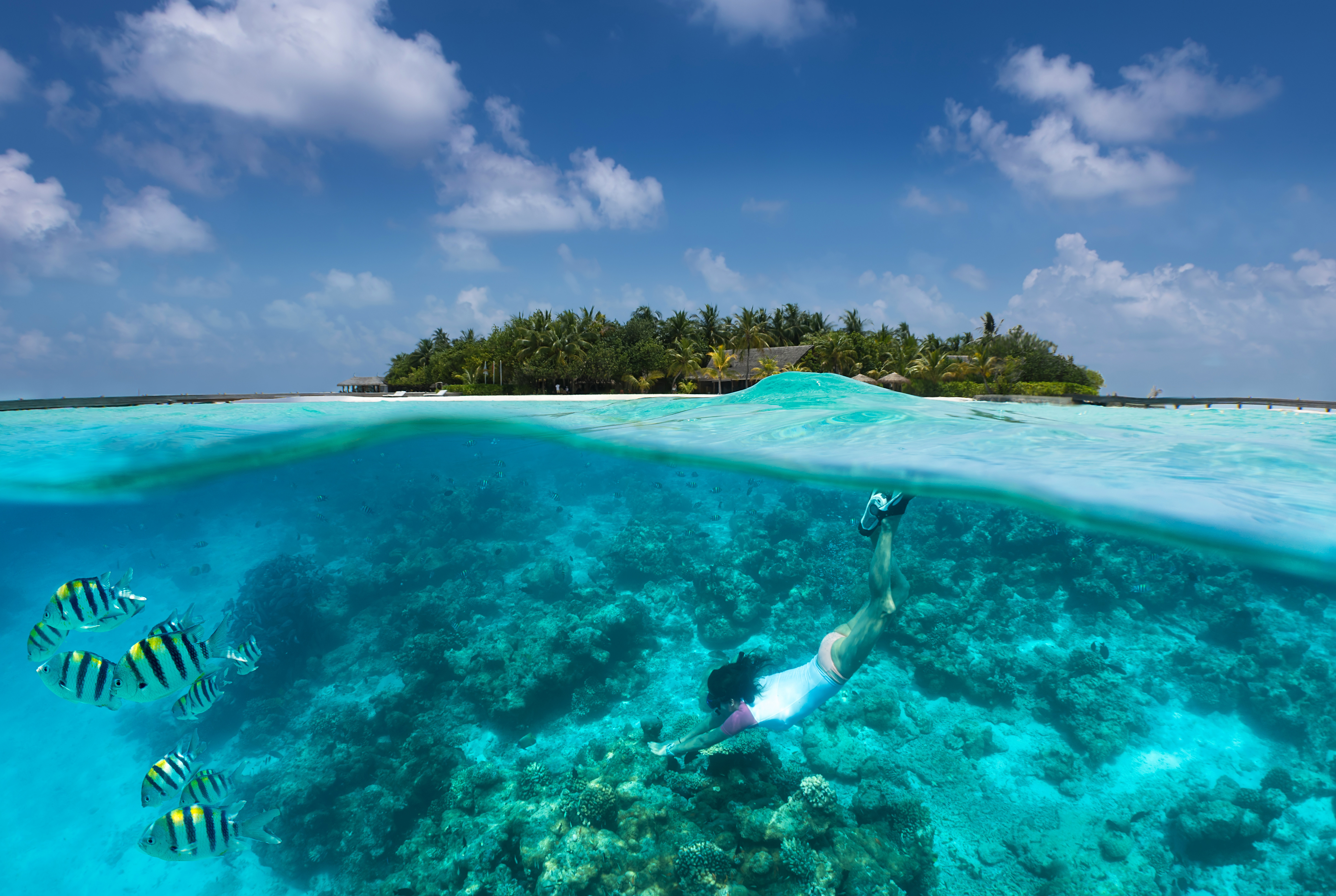 Snorkeling