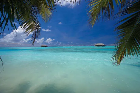 Hôtel Medhufushi Island Resort atoll_de_meemu Maldives