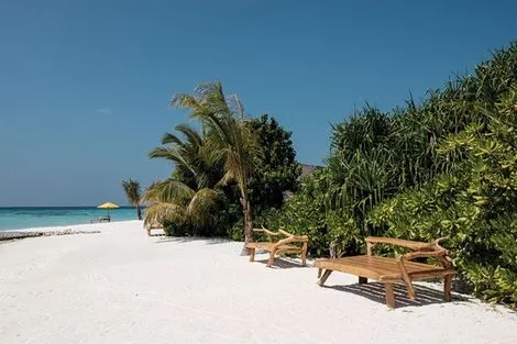 Hôtel Adult Only +18 - Drift Thelu Veliga Retreat atoll_de_south_ari Maldives