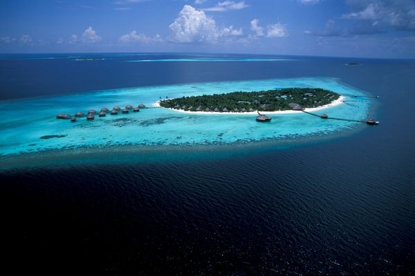 Nature - Hôtel Olhuveli Beach Resort & Spa 4* Male Maldives