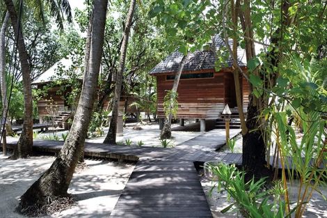 Hôtel Gangehi Island Resort 4* photo 3