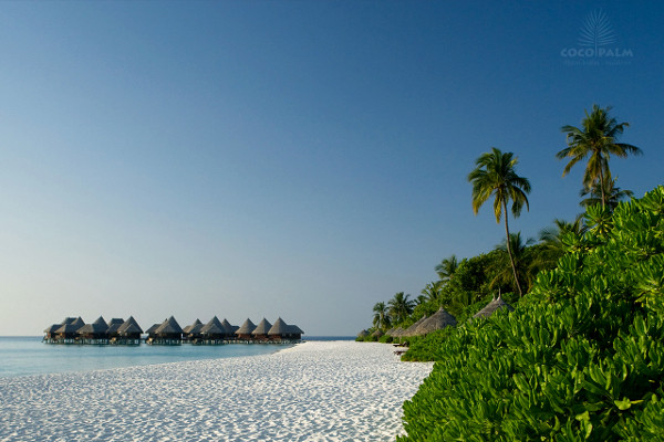 Plage - Coco Palm Dhuni Kolhu