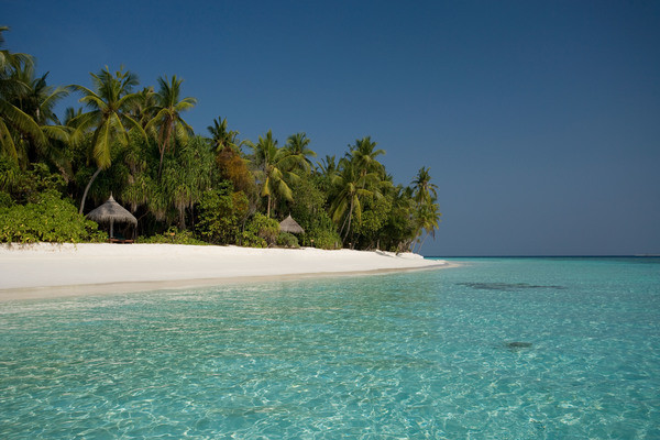 Plage - Coco Palm Dhuni Kolhu