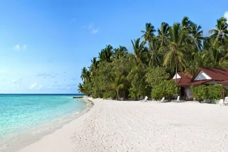 Maldives : Hôtel Diamonds Athuruga