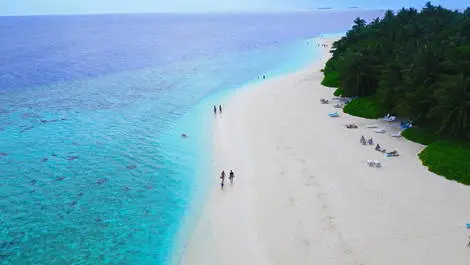 Plage - Hôtel Fihalhohi Resort 4* Male Maldives