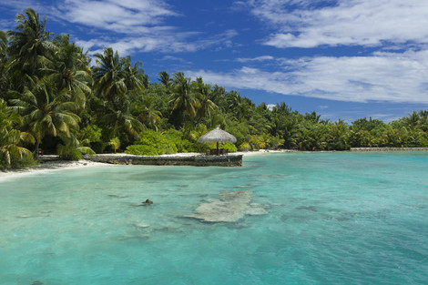 Plage - Filitheyo Island Resort 4* Male Maldives