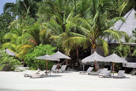 Hôtel Gangehi Island Resort 4* photo 6