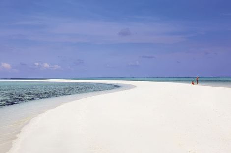 Hôtel Gangehi Island Resort 4* photo 5