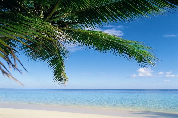 plage - Hanifaru Stay